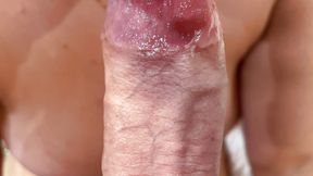 Juicy Blowjob and Close-up Sex