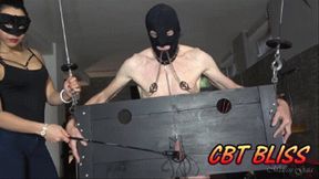 Mistress Gaia Nurse Injection Bdsm - CBT (Cock Ball Torture) Movies