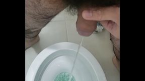 Mijao do peludinho