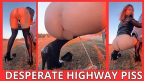 DESPERATE HIGHWAY PISS