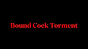 Cock Bondage Torment