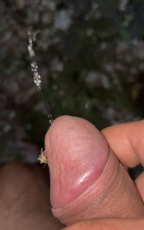 Pissing outside while getting stung on my dick by a mosquito