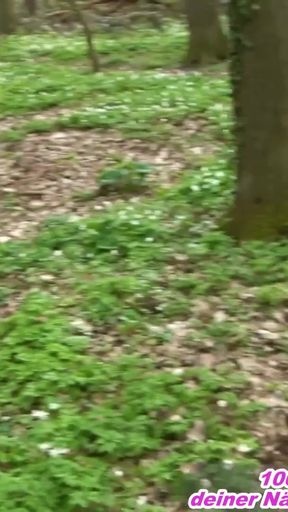 Chubby German milf having an outdoor blowjob in the woods with a stranger man   Clip 2