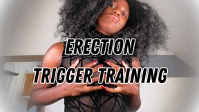 ERECTION TRIGGER TRAINING (TRANCE - MESMERIZE)