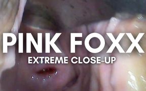 Extreme Close-up Pussy Cam