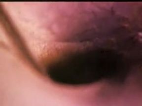 Piggy Back Off Ryan.