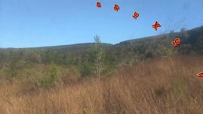 levei ela pra conhecer a ponte que o trem passava!!! a safada bombomd4 comecou chupar... os guardas chegou!!!  sem cortes