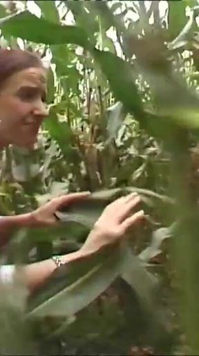 Big boobs babe sent to forest naked