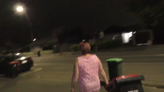 Kiwi Trashy MILF Public Disgrace pissed on in busy street while taking out the rubbish