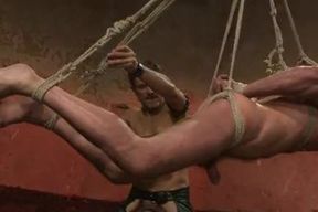 attached Up gay Electro Perplexed And Flogged A