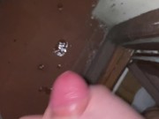 Me pajeo y me corro en el balcón