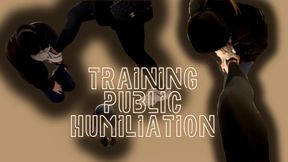 Training Public Humiliation