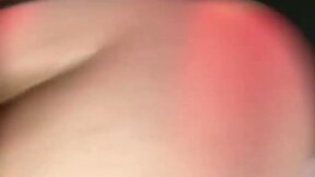 Delicioso colágeno con sabor a chocolate