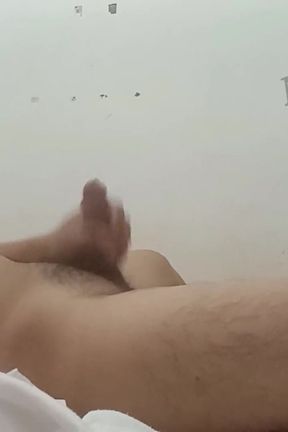 My Brother-in-law's Masturbated
