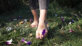 Crushing Flowers Barefoot In The Grass