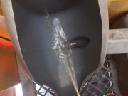 Just pissing in the porta potty at Kroger after Hurricane Laura