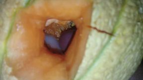 Cum into melon