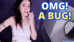OMG! A BUG!
