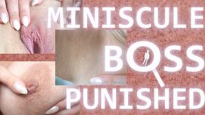 Miniscule Boss Gets Punishment