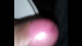 ensenada t present&oacute_ mi peke&ntilde_o