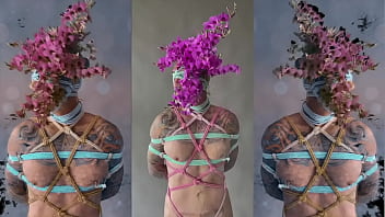 Shibari DaMotta