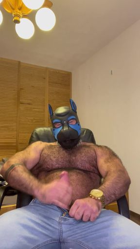 Muscle Gay Bear JOI with Mask, Big Cock, Cock Ring & Cumshot