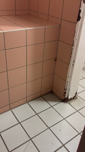 PUBLIC TOILET AT NIGHT UNCUT TAIL