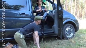 The Stallion and the Donkey - ENTIRE