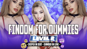 Findom for Dummies: Level 2