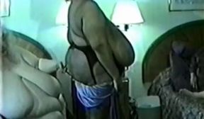 norma stitz & ambrosia