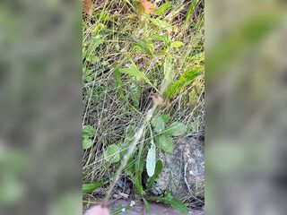 Can’t Hold My Pee, Urinate on Roadside - Dane Coxx