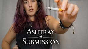 You're Nothing More Than My Human Ashtray