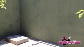 atomic pissathon 17 t-girls pissing on a young skinny faggot