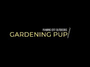 Garten-Hund wichst im Freien