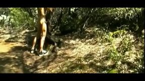 Amateur Gay Solo Boy 18+ Barks and Pumps Outdoors