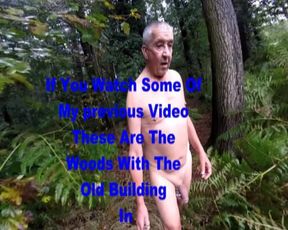 Rainy & Wet in the Woods