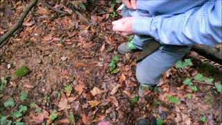 I go with my friend, after school, to the woods to make me suck him