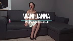 Hairy and stockinged cunt dildoed: part 1