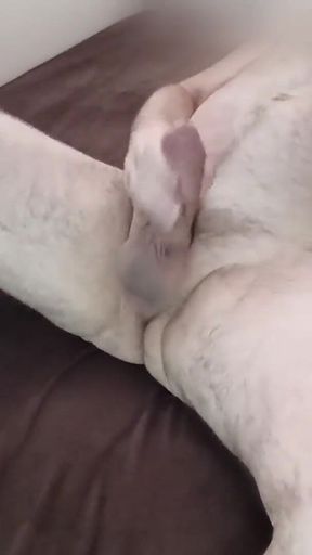 Cumming in Bed 4 Times