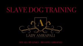 SLAVE DOG TRAINING - PET PLAY
