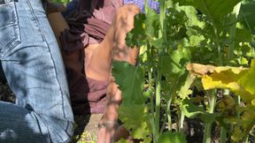 Sasumaa Jamai ke sath outside kheto me romance xxx video