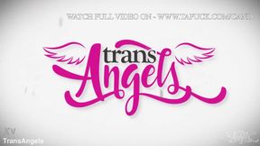 Treat TransAngels download full from www tafuck com can