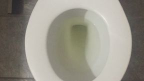 MY PEE IS GOLD INSIDE MY TOILET