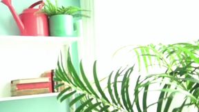 Mitsuhisa Kandas First Shoot with a Marooned Wife Documentary