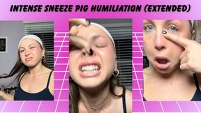 Sneeze Pig Humiliation POV (10 Minute Extended Version) - Beg Goddess for Every Real On-Command Sneeze