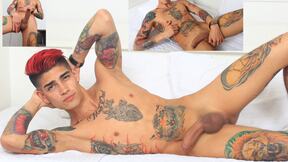 ”Bad Puppy - 4052 Max Stiven”