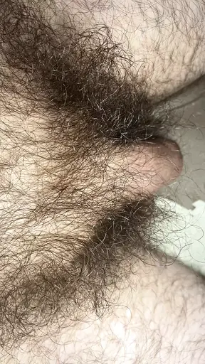 Extreme closeup view of my very long pubic hair around my flaccid uncut cock