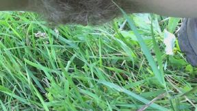 Pee in forest, risky outdoor pee compilation 4K