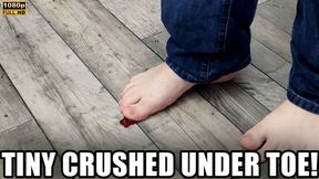 Tiny Crushed Under Big Toe - Full HD 1080p - KingMarti