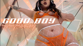 Good Boy Reprogramming